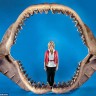 Челюсти самой большой доисторической акулы мегалодон