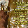 Приколы от Маши -59