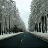Дорога через зимний лес Норвегия